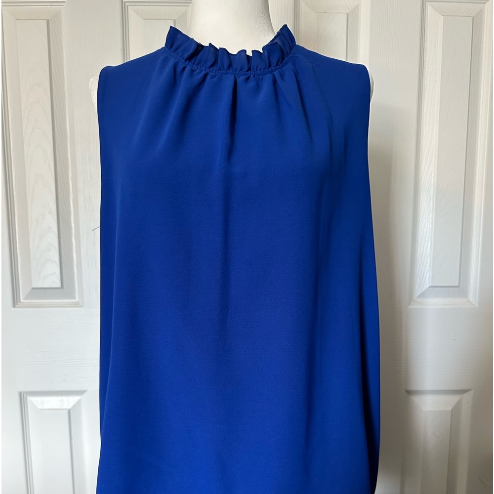 Blue sleeveless blouse Size L
worn 1 time